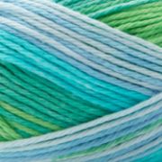 Picture of Premier Cotton Sprout Worsted Multi Yarn-Island Breeze