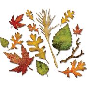 Picture of Sizzix Thinlits Dies 14/Pkg By Tim Holtz Fall Foliage
