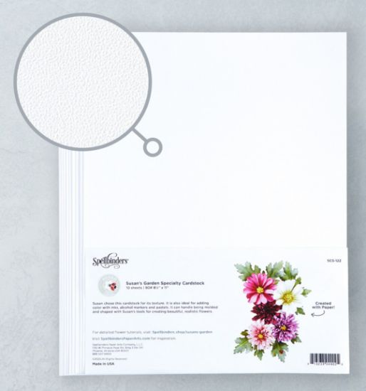 Picture of Spellbinders Specialty Cardstock 10/Pkg Susan's Garden - Stippled