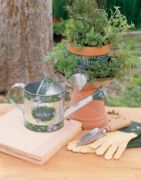 Picture of Acrylic Paint Pots 16/Pkg Outdoor