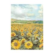 Picture of Stamperia Assorted Rice Paper Backgrounds A6 8/Sheets-Sunflower Art