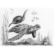 Picture of Sketching Made Easy Kit 5'x7" Sea Turtles