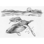 Picture of Sketching Made Easy Kit 5'x7" Whales
