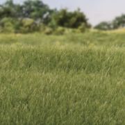 Picture of Woodland Scenics Static Grass 4mm Medium Green