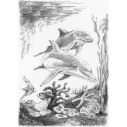 Picture of Sketching Made Easy Kit 5'x7" Dolphins