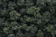 Picture of Woodland Scenics FC149 Bushes, Forest Blend (18 Cu. in. Bag)