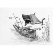 Picture of Sketching Made Easy Kit 5'x7" Shark