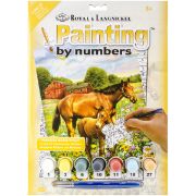 Picture of Junior Small Paint By Number Kit 8.75"X11.75" Horse In Field