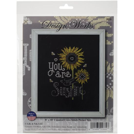 Picture of You Are My Sunshine Counted Cross Stitch Kit 8"X10" 14 Count