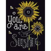 Picture of You Are My Sunshine Counted Cross Stitch Kit 8"X10" 14 Count