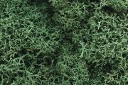 Picture of Woodland Scenics L162 Light Green Lichen