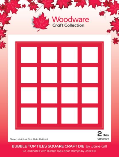 Picture of Woodware Craft Dies By Jane Gill-Bubble Top Tiles Square