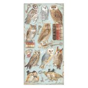 Picture of Stamperia Collectables Double-Sided Paper 6"X12" 10/Pkg-Vintage Library