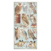 Picture of Stamperia Collectables Double-Sided Paper 6"X12" 10/Pkg-Vintage Library