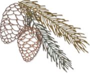 Picture of Sizzix Thinlits Dies By Tim Holtz 4/Pkg Pine Branch