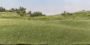 Picture of Woodland Scenics Static Grass 2mm Medium Green