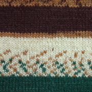 Picture of Kroy Socks Yarn Woodsie