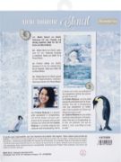 Picture of Stamperia Stencil 7.87"X9.84" Ice & Shells, Arctic Antarctic