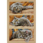 Picture of Max The Cat Counted Cross Stitch Kit 10"X15" 14 Count