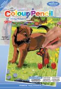 Picture of Mini Color Pencil By Number Kit 5"X7" Puppy & Butterfly