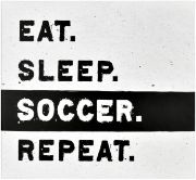 Picture of MBI Sports Post Bound Album 12"X12" Soccer