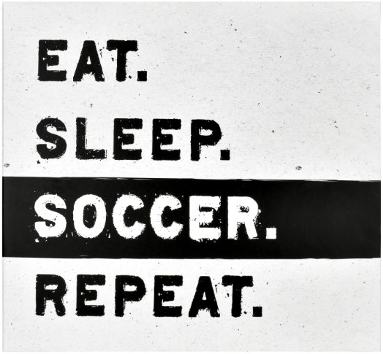 Picture of MBI Sports Post Bound Album 12"X12" Soccer