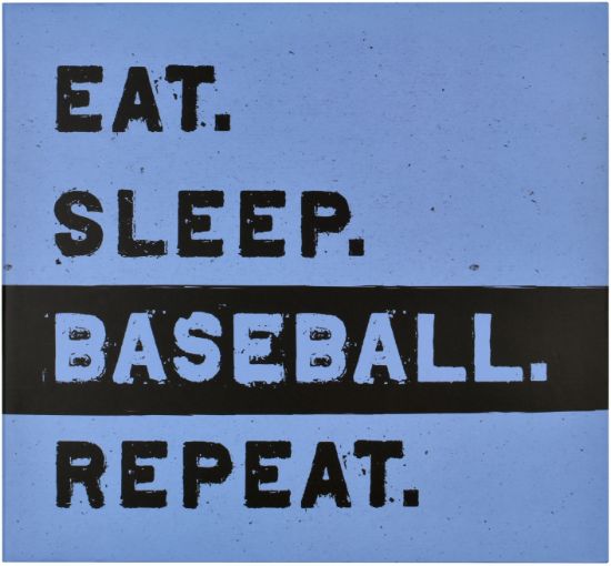 Picture of MBI Sports Post Bound Album 12"X12" Baseball