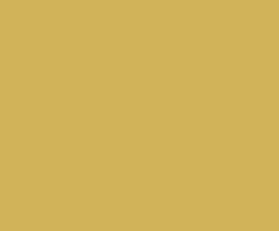 Picture of AFV Series: Light Stone No61 Acrylic Paint 17ml Bottle