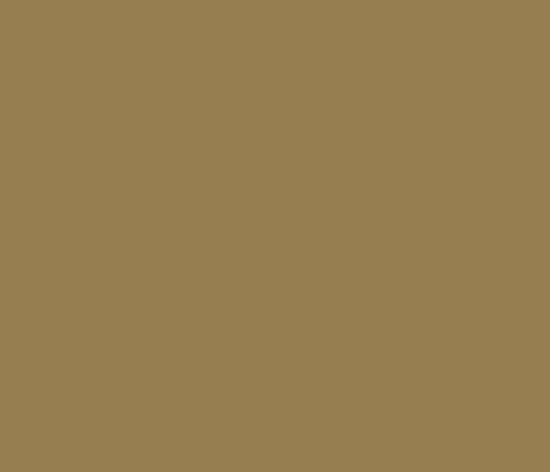 Picture of AFV Series: Russian Sand 7K Acrylic Paint 17ml Bottle
