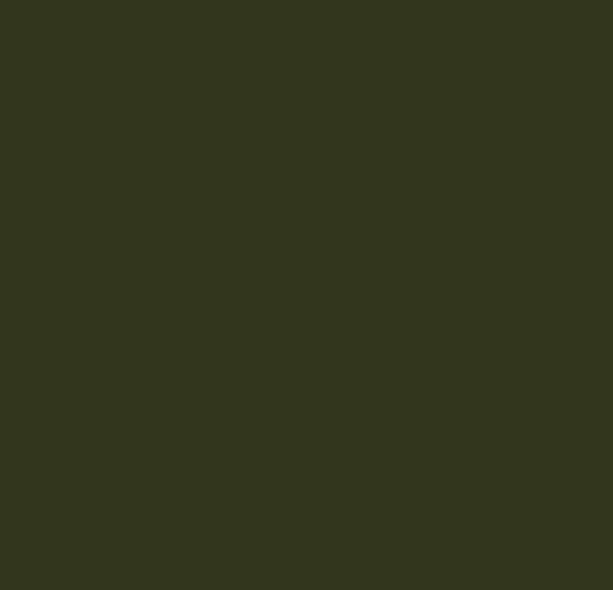 Picture of AFV Series: IDF Green Acrylic Paint 17ml Bottle