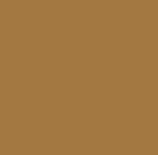 Picture of AFV Series: Sand Brown RAL8031 F9 Acrylic Paint 17ml Bottle