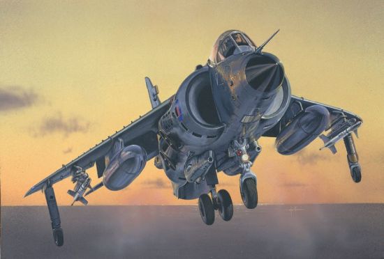 Picture of 1/72 Sea Harrier FRS1 Fighter/Bomber Falklands 40th Anniversary