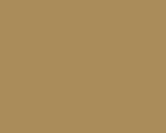 Picture of AFV Series: Australian Camouflage Brown Acrylic Paint 17ml Bottle
