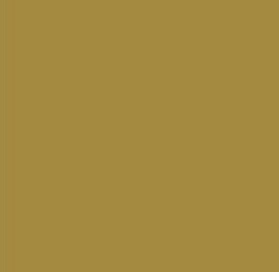 Picture of AFV Series: Dark Yellow Initial RAL7028 Acrylic Paint 17ml Bottle