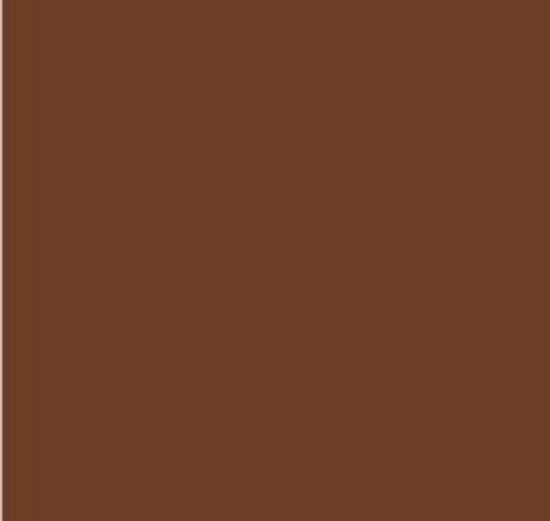 Picture of AFV Series: NÂº8 Earth Red FS30117 Acrylic Paint 17ml Bottle