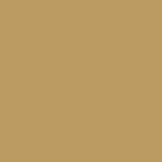 Picture of AFV Series: Sand Beige RAL1039 F9 Acrylic Paint 17ml Bottle