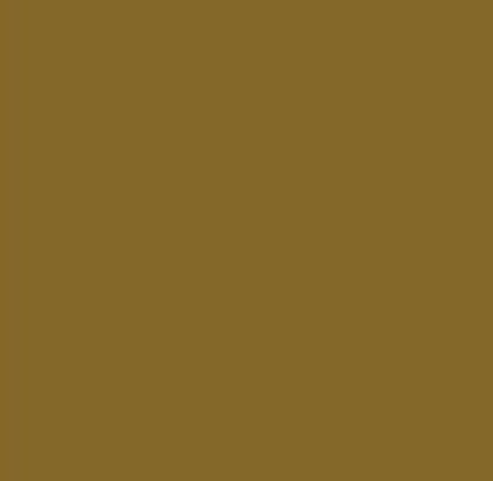 Picture of AFV Series: Yellow Brown RAL8000 Acrylic Paint 17ml Bottle