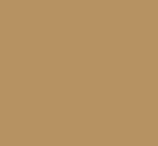 Picture of AFV Series: CARC Tan 686A FS33446 Acrylic Paint 17ml Bottle