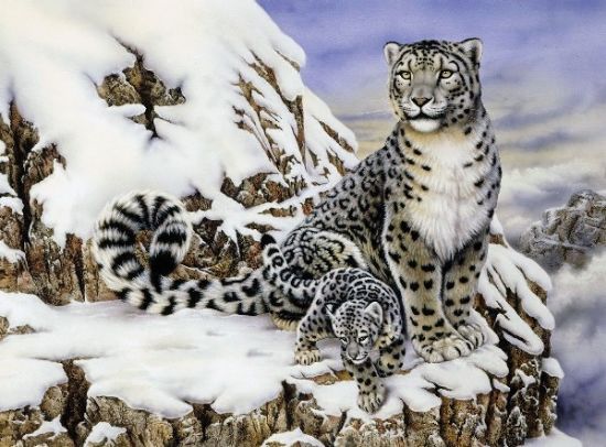 Picture of Alpine Royalty (Snow Leopards) Paint by Number Age 8+ (11.25"x15.375")