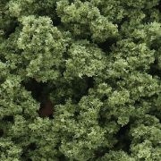 Picture of Clump Foliage 57.7 Cubic Inches Light Green