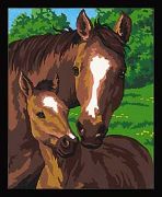 Picture of Paint Works Paint By Number Kit 8"X10" Pony & Mother