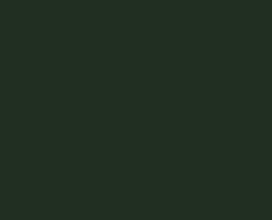 Picture of Figures Series: Dark Green Acrylic Paint 17ml Bottle