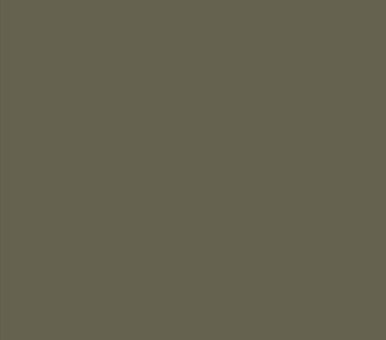 Picture of AFV Series: Light Grey RAL7009 Acrylic Paint 17ml Bottle