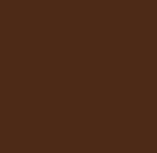 Picture of AFV Series: WWI French Brown Acrylic Paint 17ml Bottle