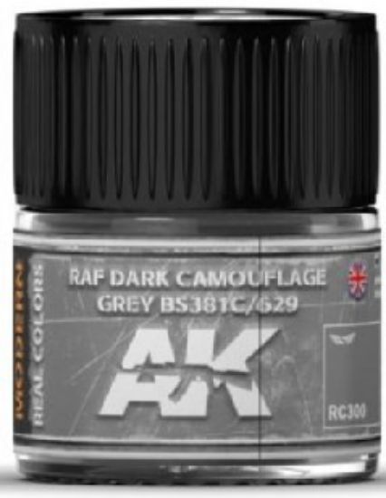 Picture of Real Colors: RAF Dark Camouflage Grey BS381C/629 Acrylic Lacquer Paint 10ml Bottle