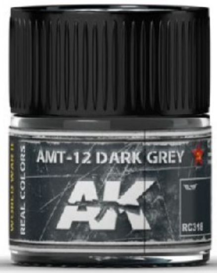Picture of Real Colors: AMT12 Dark Grey Acrylic Lacquer Paint 10ml Bottle