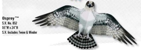 Picture of 55"x24" Osprey Bird Wing Flapper Kite