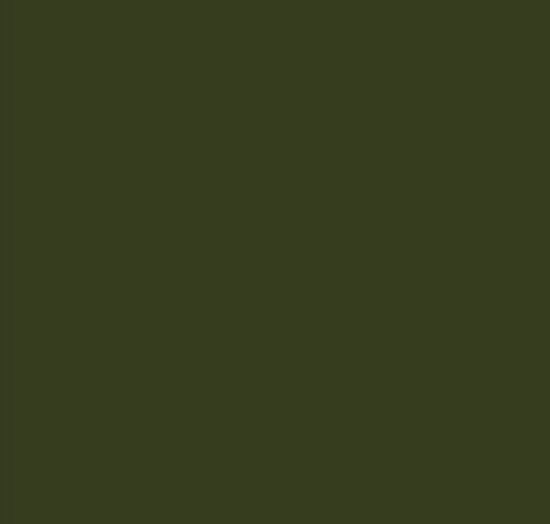 Picture of AFV Series: Dark Green FS34102 Acrylic Paint 17ml Bottle