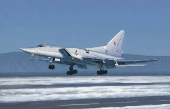 Picture of Tu-22M3 Backfire C, 1/72 by Trumpeter, Model Airplane