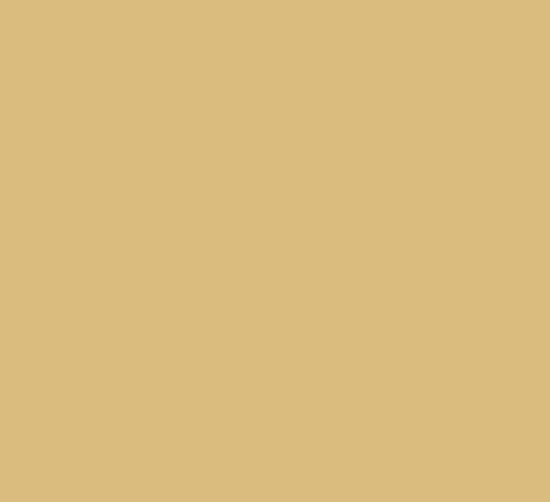Picture of AFV Series: New Iraqi Army Sand Acrylic Paint 17ml Bottle